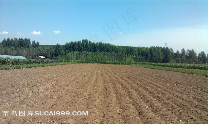 农田地垄沟图