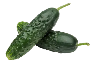 黄瓜 (7)超市商品白底图免抠实物摄影png格式图片透明底