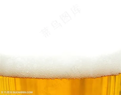 酒水饮料-白色的啤酒泡泡 酒水饮料-白色的啤酒泡泡