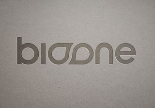 LOGO样机展示效果