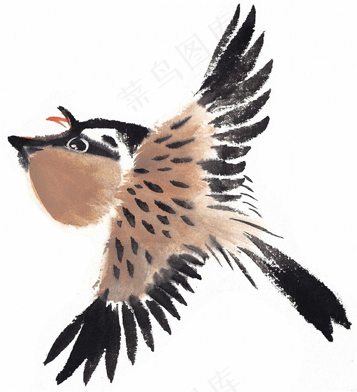 画鸟大图摄影图片