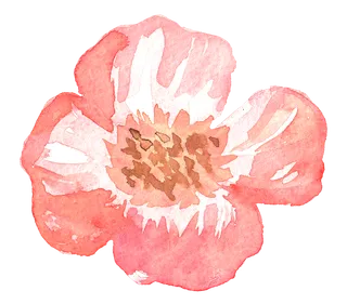 唯美森系手绘水彩花朵 免抠