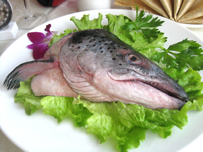 三文鱼头 18半只