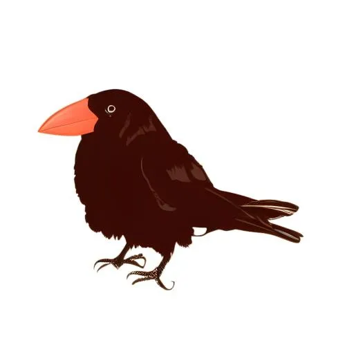 鸟乌鸦免抠(2048x2048)