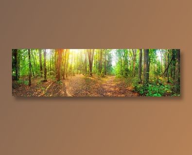 树林自然风光主题背景