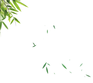 竹子水墨画中国风国画墨水书法竹子画