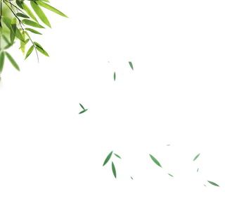 竹子水墨画中国风国画墨水书法竹子画