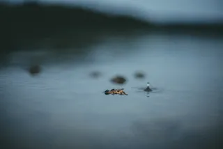 禅意唯美意境风景图片