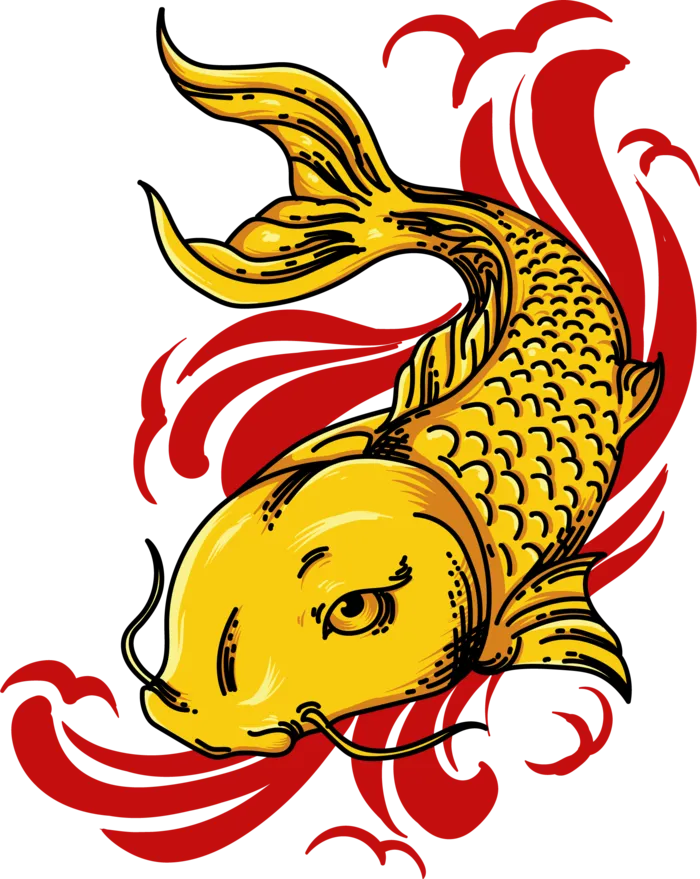 锦鲤图片PNG