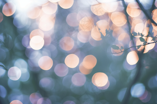 阳光光影光晕光圈摄影图