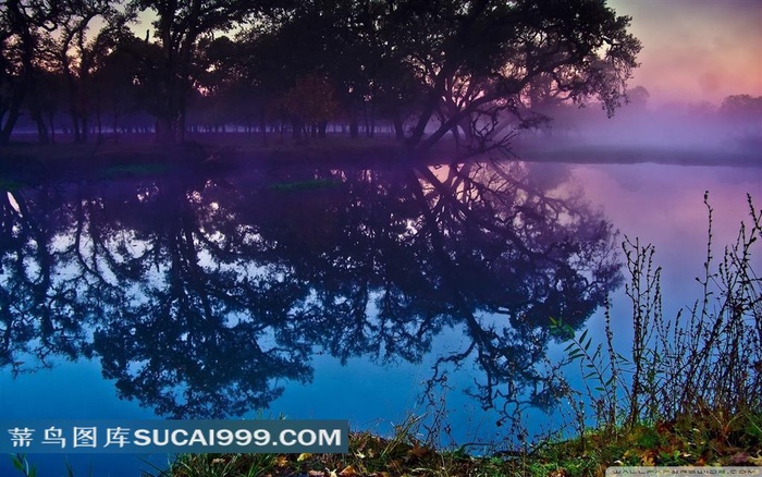 唯美树林和湖泊素材图片