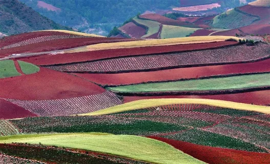 东川红土地田园风光
