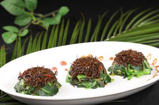 L01824长寿万年青 (3)