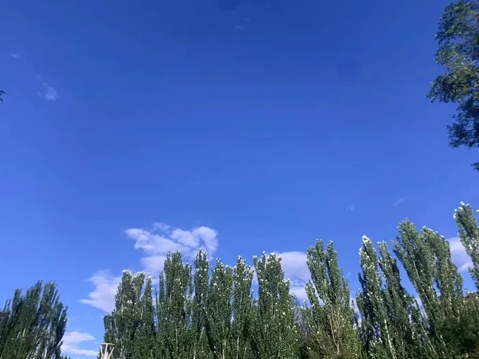 天空，日常，云朵，蓝天