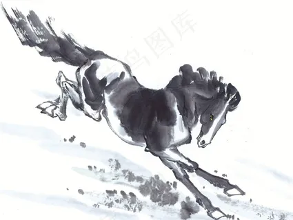 生肖动物大图素材 生肖动物大图素材