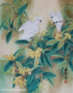 花鸟树枝时尚中式插画