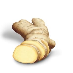 生姜 PNG免抠(300x300)