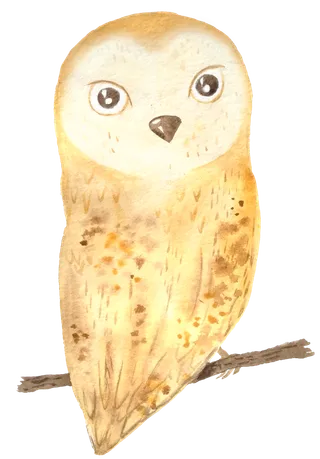 花草植物免扣植物水彩插画设计素材