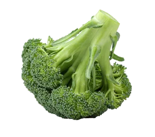 西兰花 (4)超市商品白底图免抠实物摄影png格式图片透明底