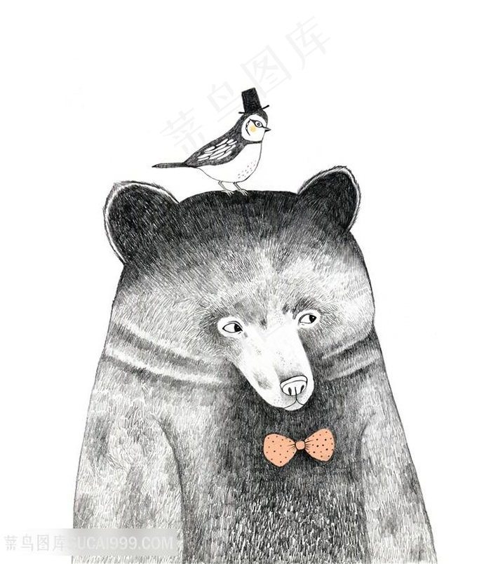 鸟儿与熊插画