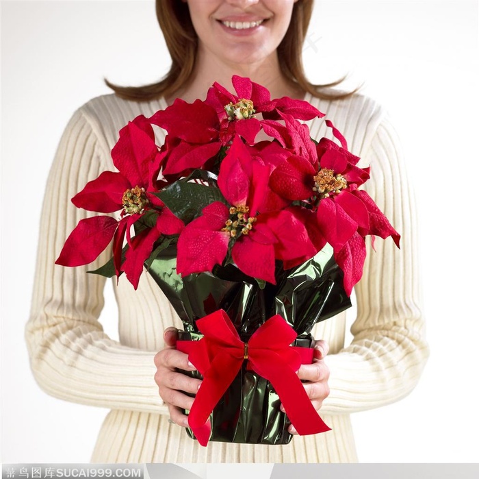 人物元素-手捧花卉手势特写