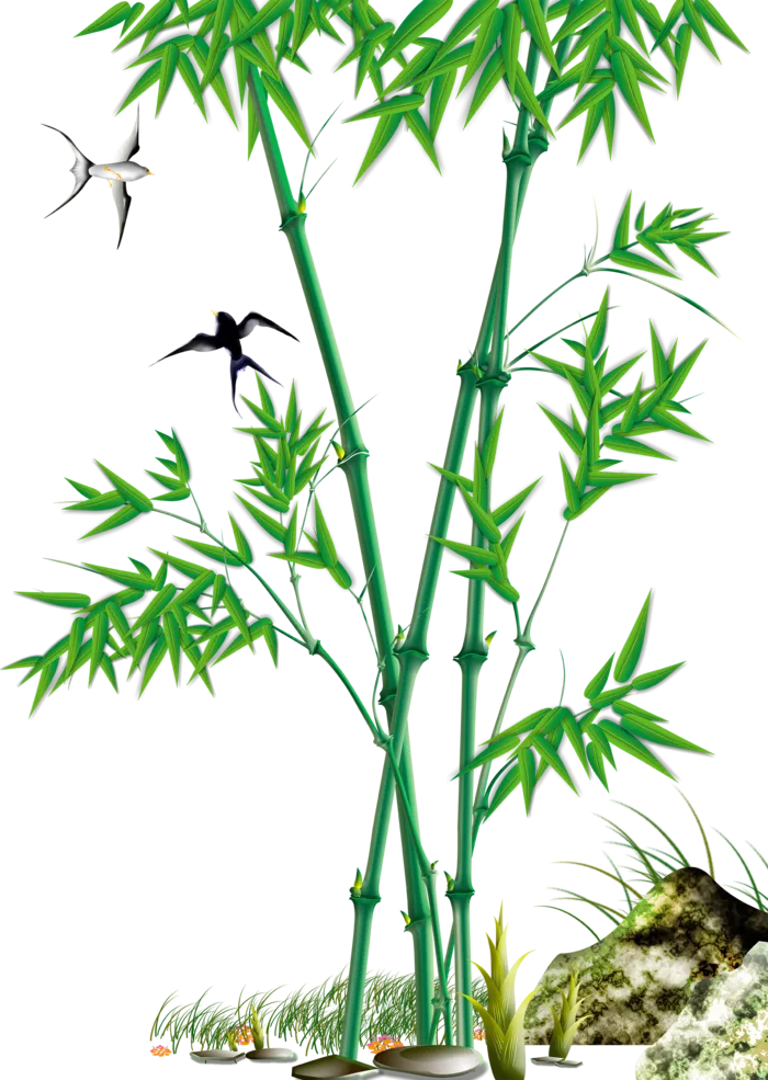 竹子水墨画中国风国画墨水书法竹子画