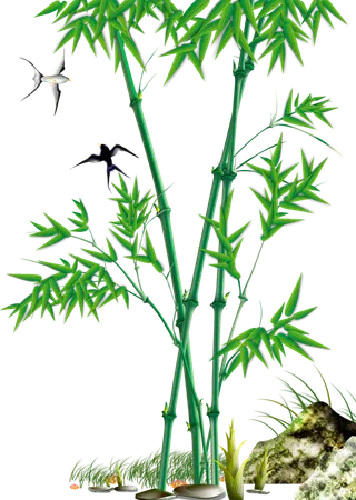 竹子水墨画中国风国画墨水书法竹子画