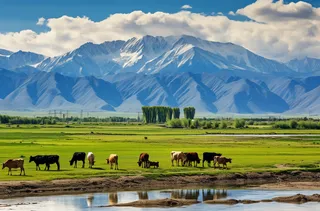 一群牛在郁郁葱葱的绿色田野上吃草非常美丽的风景摄影图