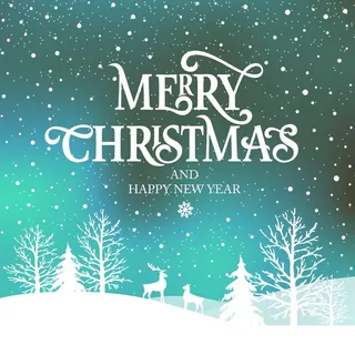 圣诞节圣诞树圣诞老人闪亮装饰电商促销折扣海报