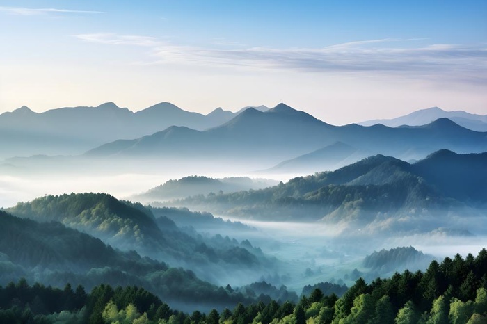 山脉树林高空摄影