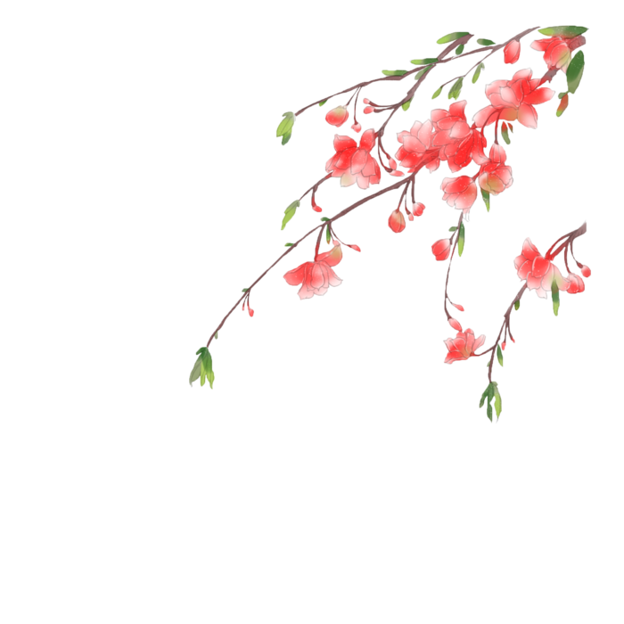 春天浪漫粉红色樱花手绘樱花梅花桃花花朵图片PNG免扣素材