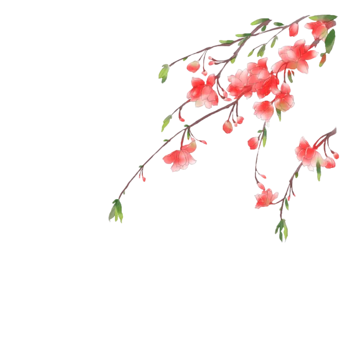 春天浪漫粉红色樱花手绘樱花梅花桃花花朵图片PNG免扣素材