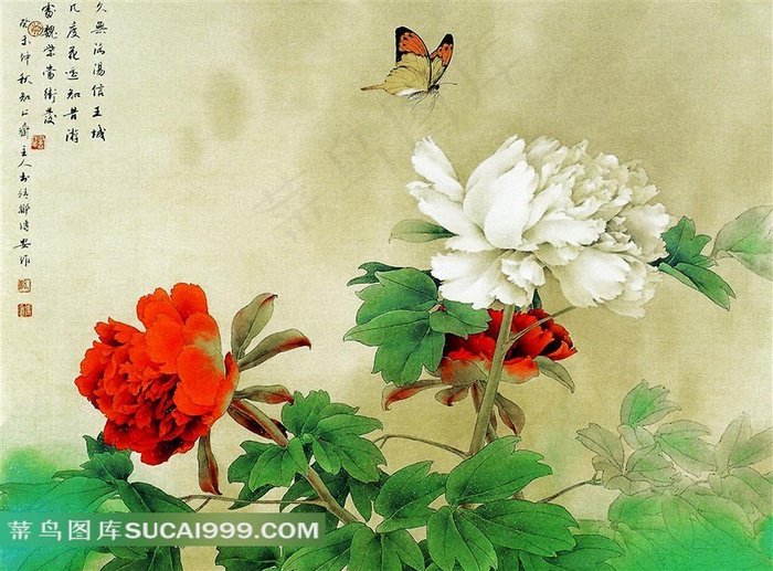 工笔牡丹花图片素材