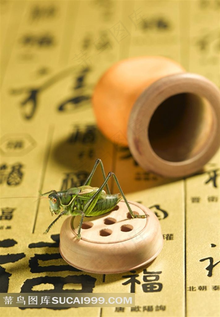 唯美的装蛐蛐罐子素材