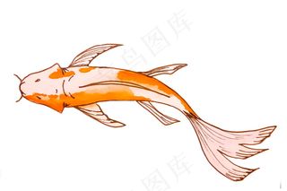 鲤鱼水彩画图片