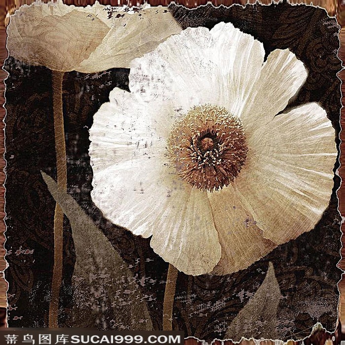 欧式花朵装饰画