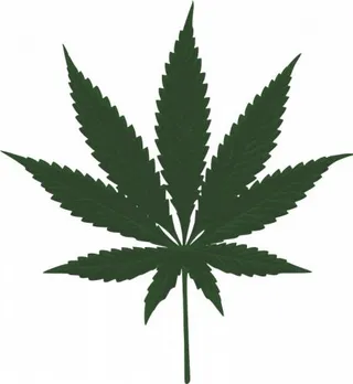 大麻PNG免抠