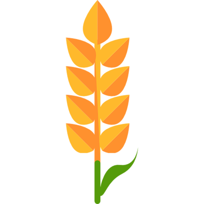 花朵植被现代农业