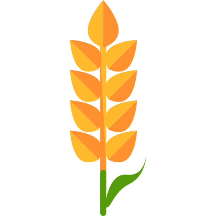 花朵植被现代农业