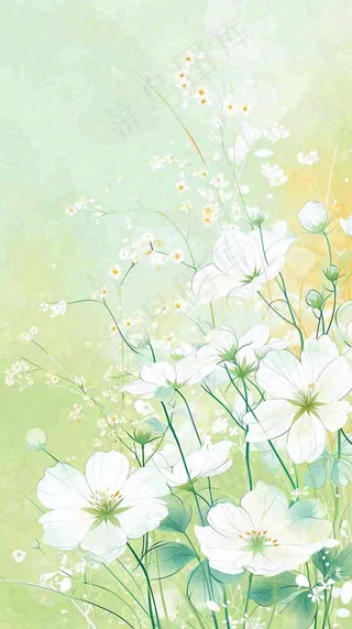 清新白色小花春天萌芽手绘，春分