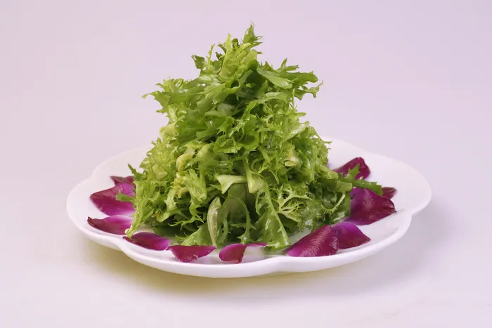 35生拌苦菊-南粤渔村