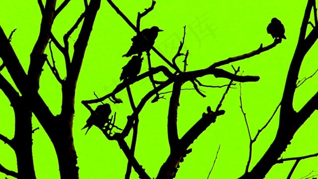 恐怖, 乌鸦, 万圣节, 可怕的, 幽灵般的, 神秘, 爬行