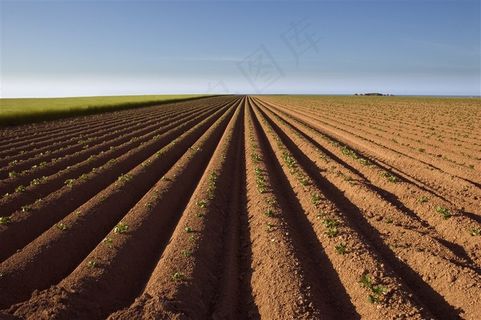 农业相关主题高清图片