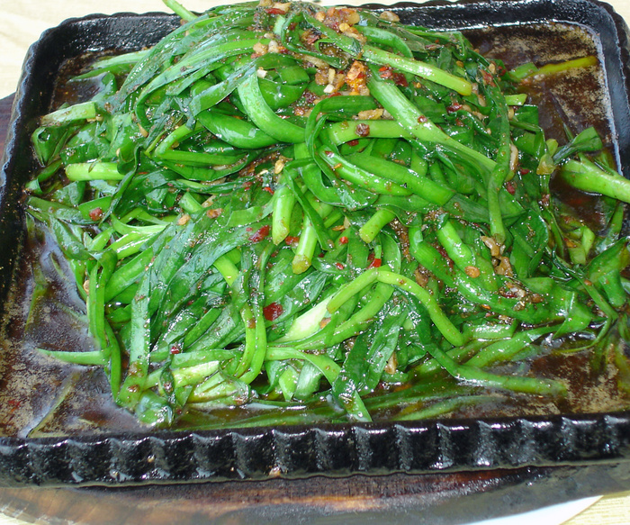 0453铁板韭菜