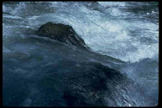 海洋湖泊 102