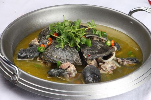 口味甲鱼