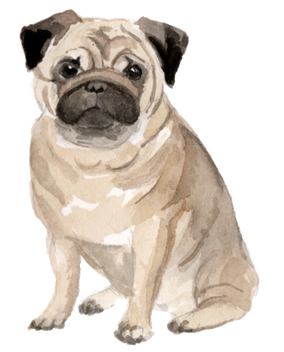狗狗水彩画插画免扣素材可爱宠物狗