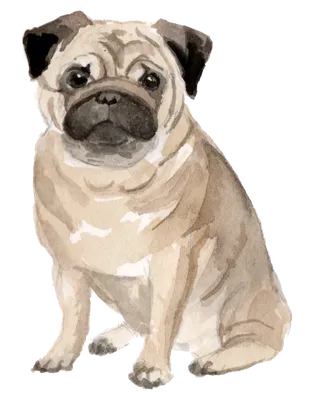 狗狗水彩画插画免扣素材可爱宠物狗