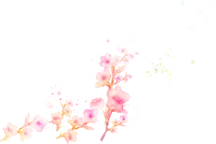 粉色简约风手绘鲜花花朵水墨画PNG素材图片 (67)