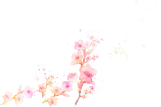 粉色简约风手绘鲜花花朵水墨画PNG素材图片 (67)